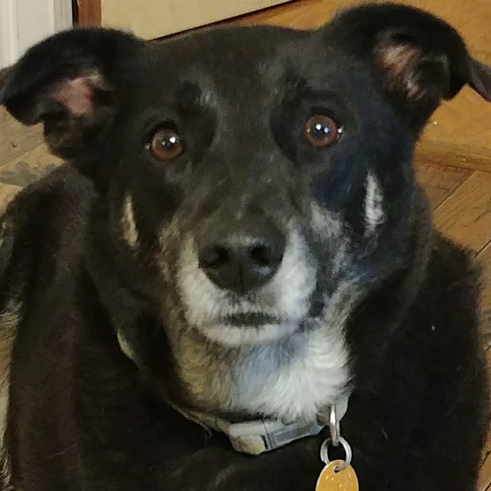 Meet your Posher, Odalis